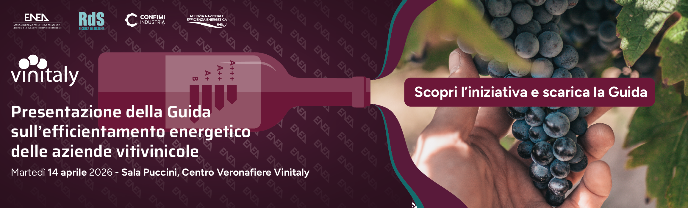 Vinitaly banner.png
